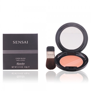 CHEEK BLUSH CH05 4 gr CHEEK BLUSH CH05 4 gr
