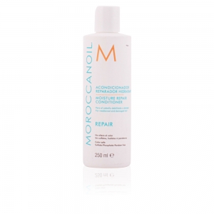 REPAIR moisture repair conditioner 250 ml REPAIR moisture repair conditioner 250 ml
