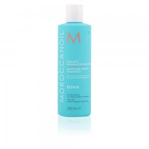 REPAIR moisture repair shampoo 250 ml